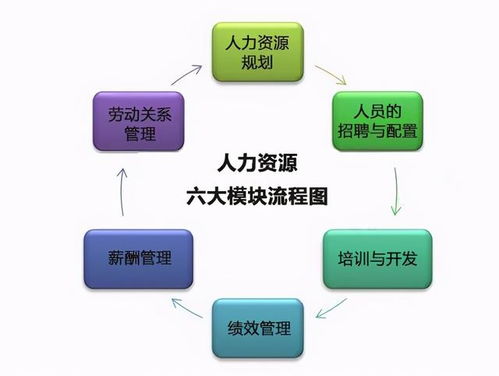 職場百科 人力資源證書怎么考 人力資源證書考試考什么