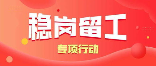 百萬青年長技能,促進(jìn)就業(yè)見行動